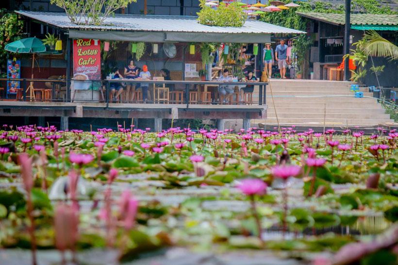 5. Thung Bua Daeng Floating Market 4