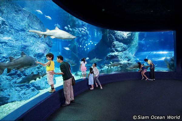 SiamOceanWorld 1