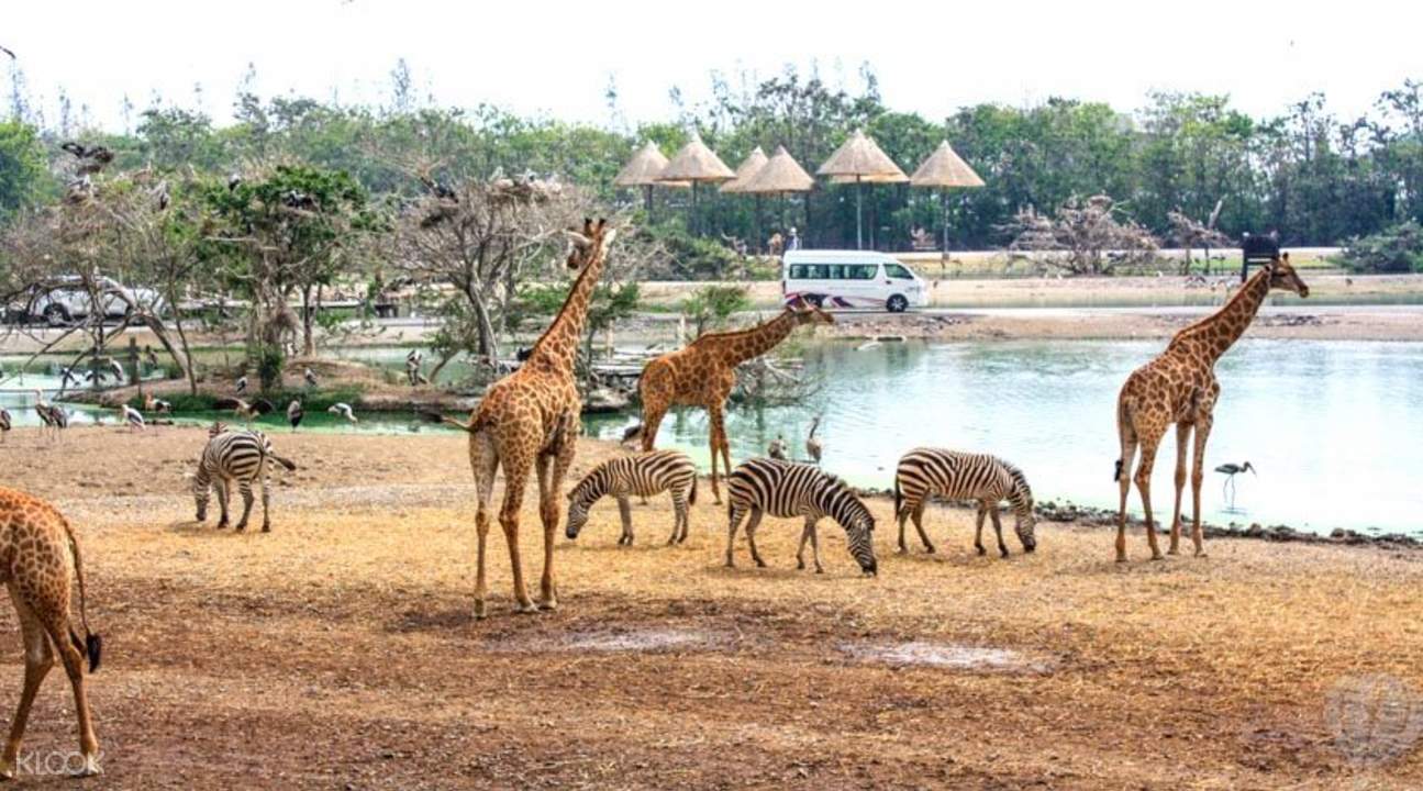 SafariWorld